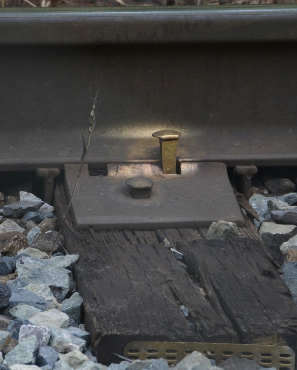 golden railroad spike